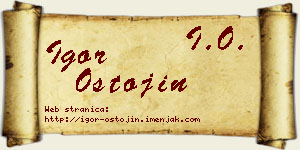 Igor Ostojin vizit kartica